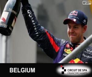 Puzzle Σεμπάστιαν Φέτελ πανηγυρίζει τη νίκη του στο Grand Prix του Βελγίου 2013